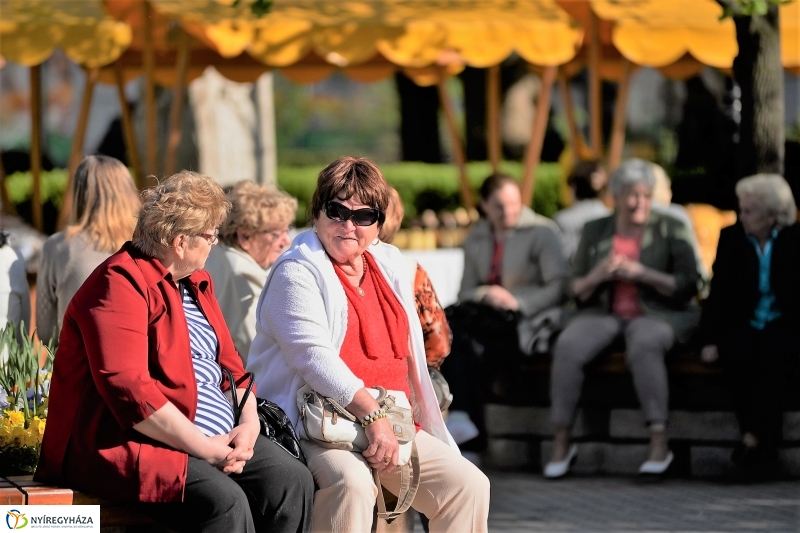 A Zene Ünnepe Nyíregyházán
