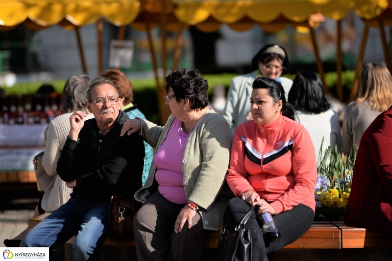 A Zene Ünnepe Nyíregyházán