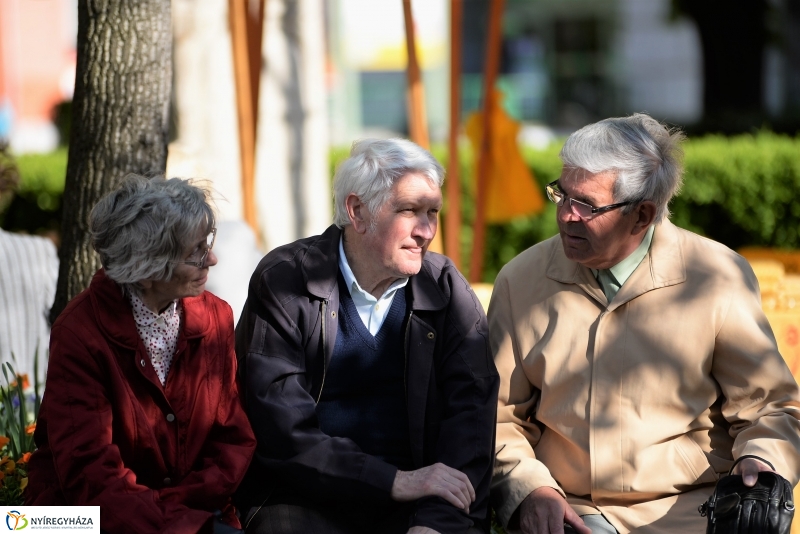 A Zene Ünnepe Nyíregyházán