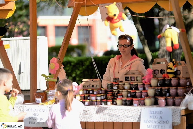 A Zene Ünnepe Nyíregyházán