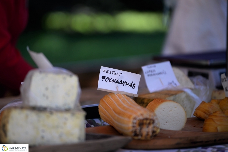 A Zene Ünnepe Nyíregyházán