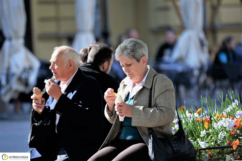 A Zene Ünnepe Nyíregyházán