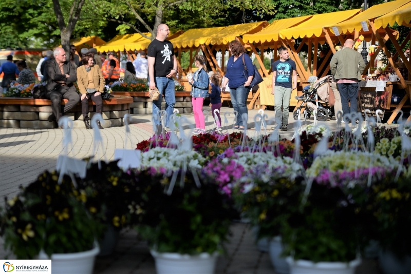 A Zene Ünnepe Nyíregyházán