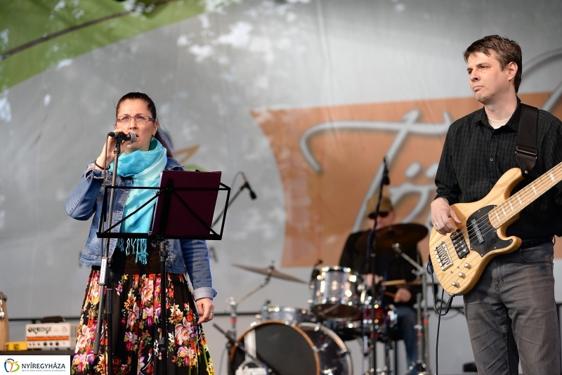 A Zene Ünnepe Nyíregyházán