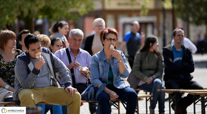 A Városnapon Tóth Gabi is fellépett