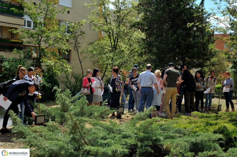 Faültetés a Sipkayban