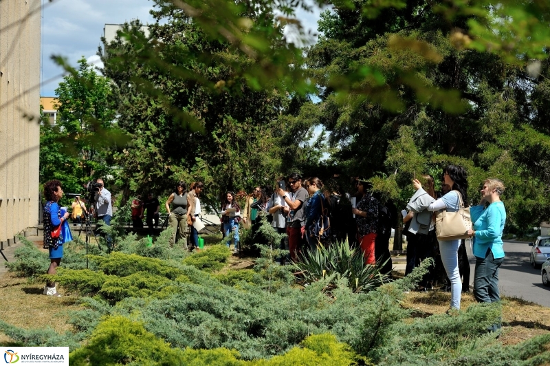 Faültetés a Sipkayban