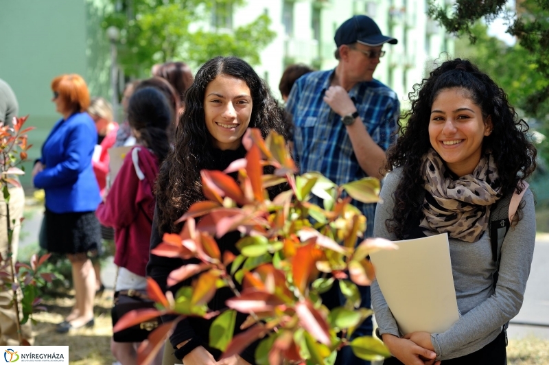 Faültetés a Sipkayban