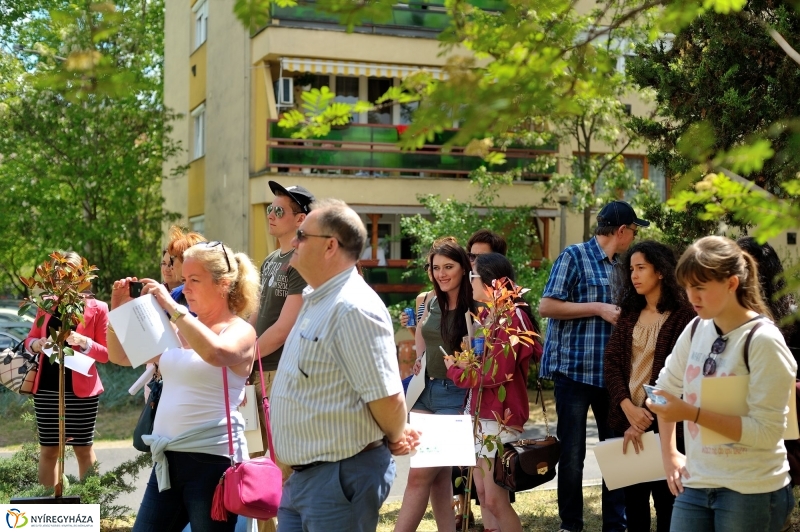 Faültetés a Sipkayban