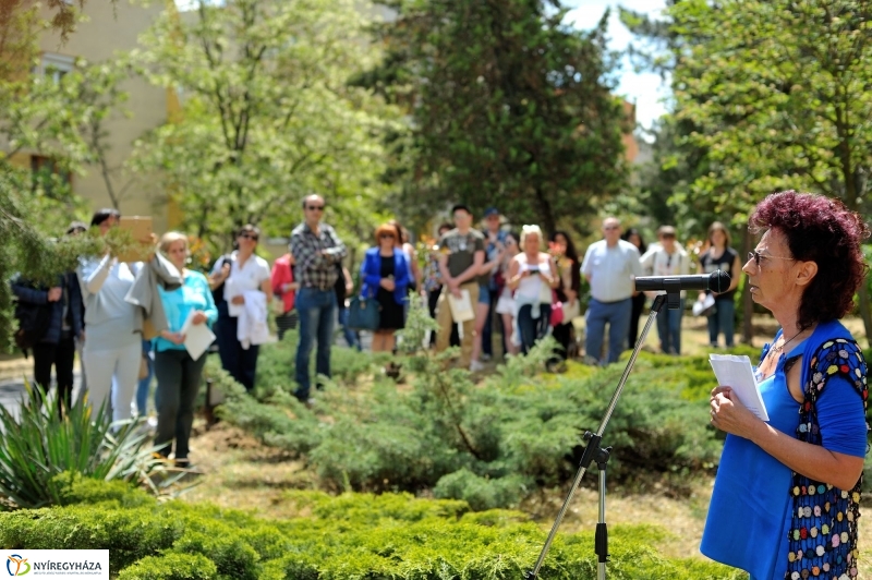 Faültetés a Sipkayban