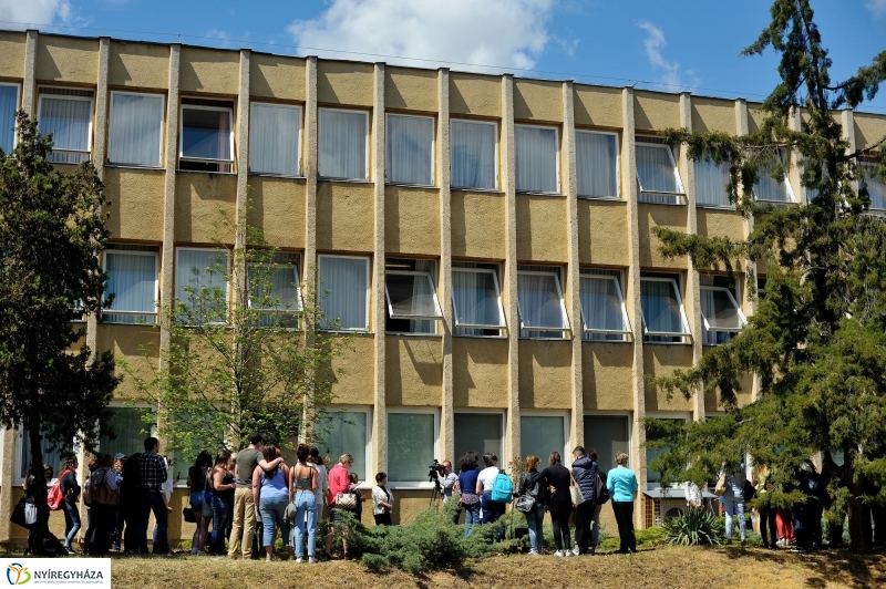 Faültetés a Sipkayban