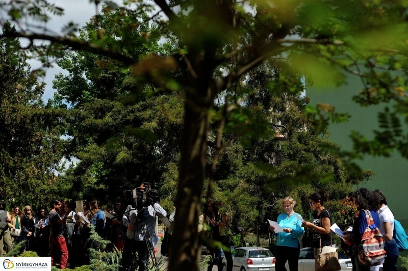 Faültetés a Sipkayban