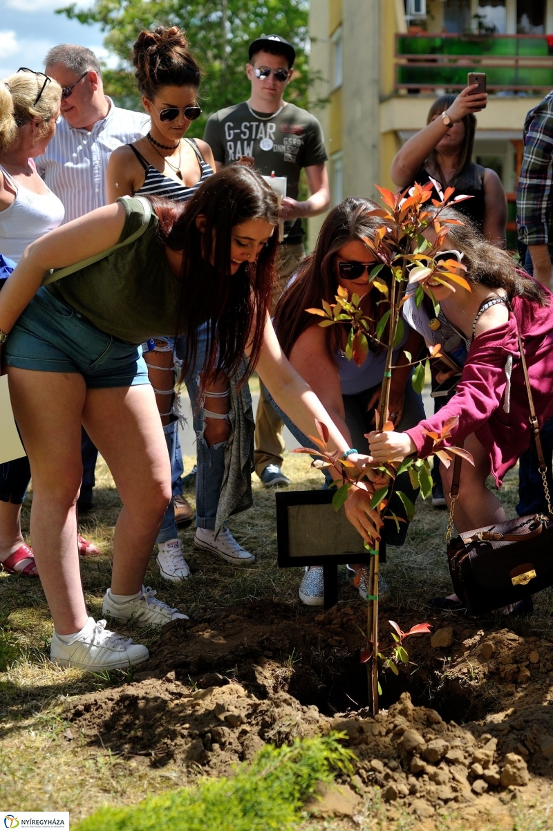 Faültetés a Sipkayban