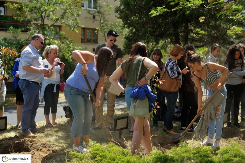 Faültetés a Sipkayban