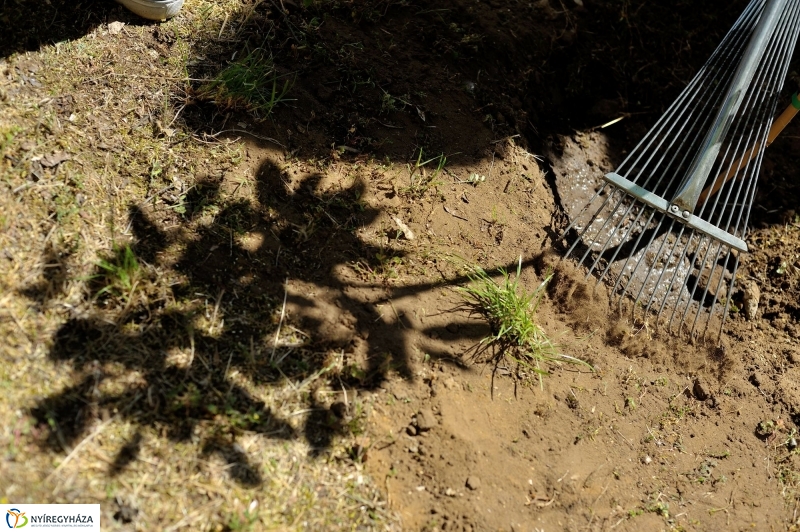 Faültetés a Sipkayban