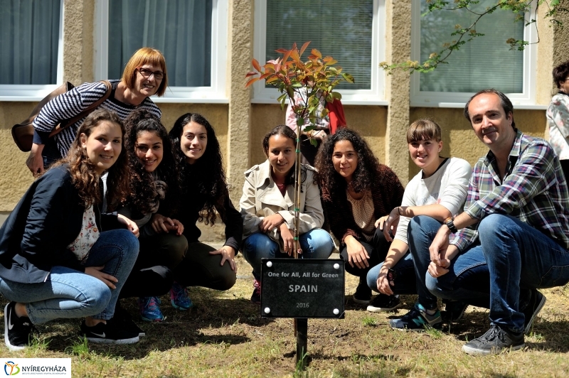 Faültetés a Sipkayban