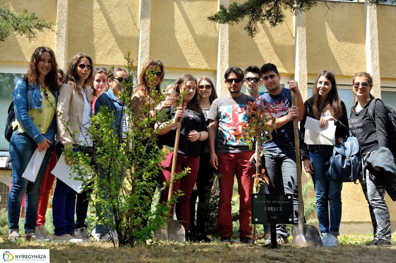 Faültetés a Sipkayban