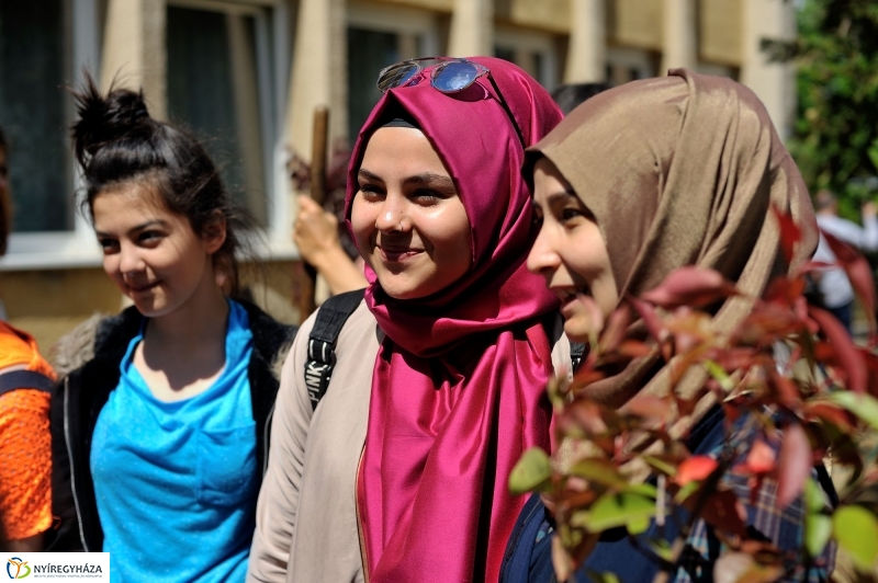 Faültetés a Sipkayban