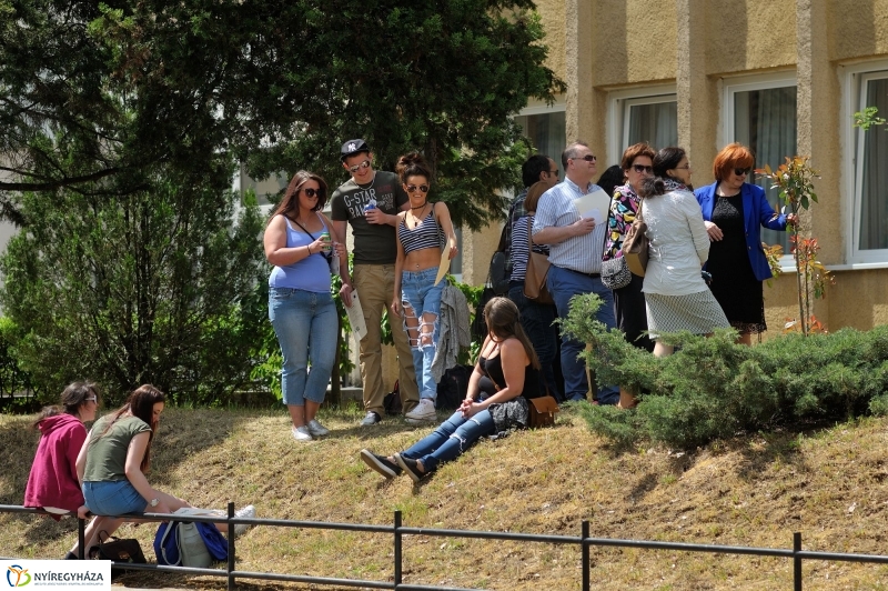 Faültetés a Sipkayban