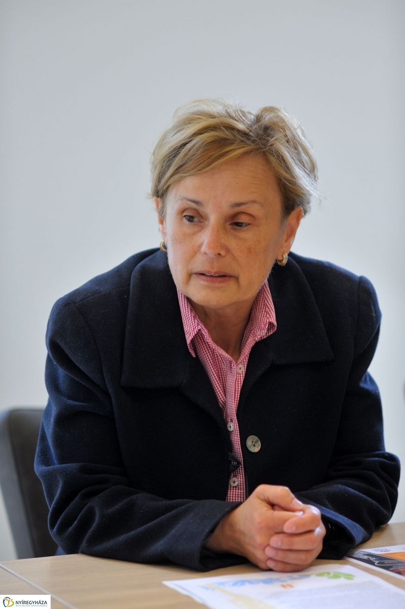 Pünkösdöljünk a Múzeumfaluban sajtótájékoztatója