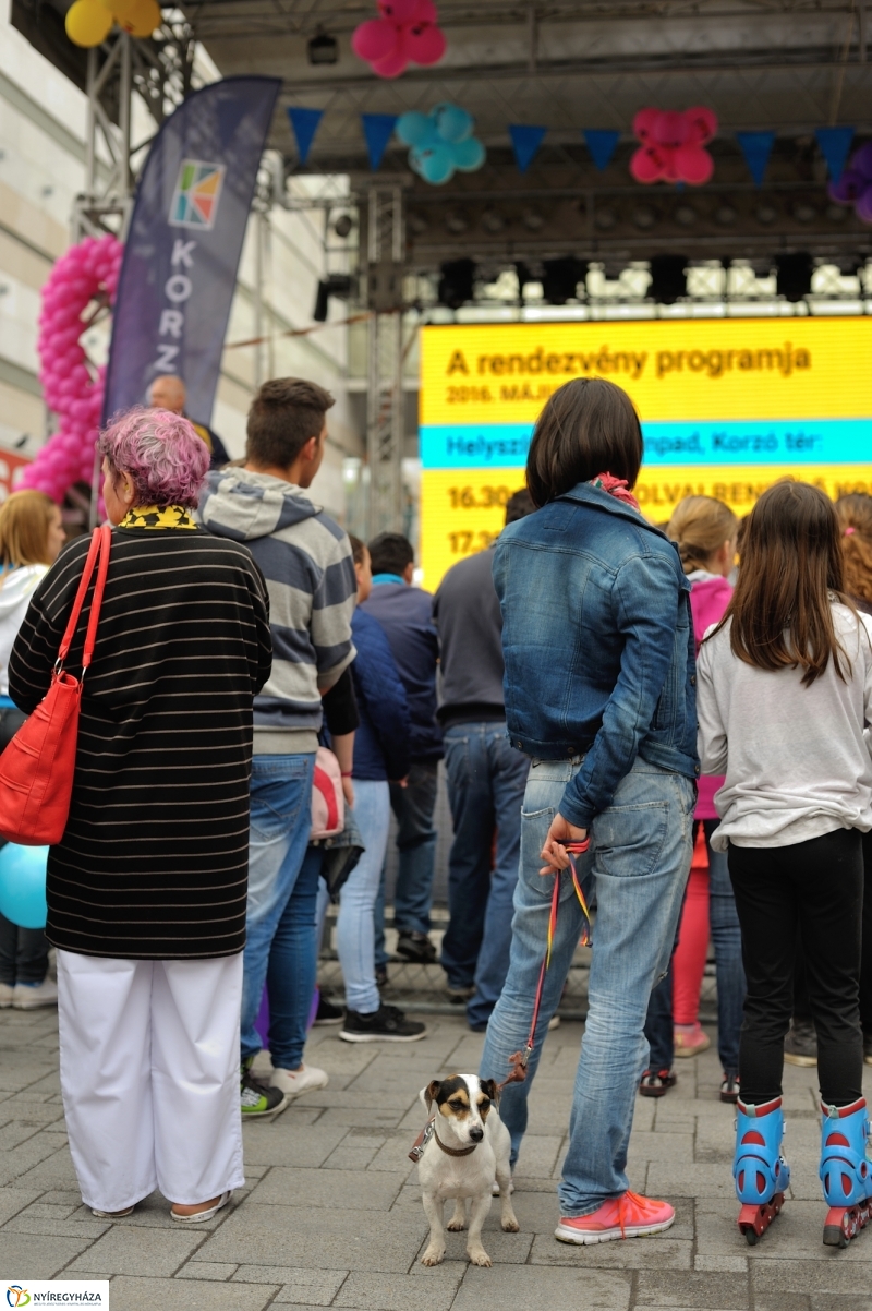 Korzó születésnap