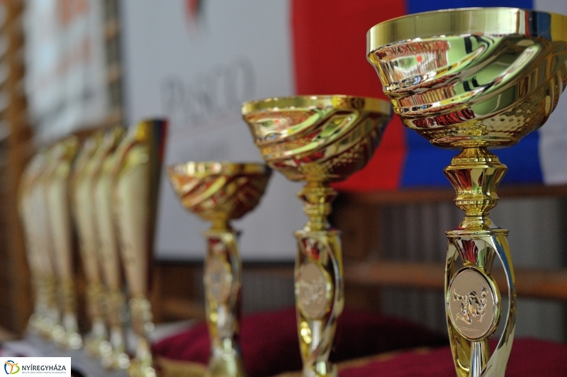 Birkózás a Zrínyi gimnáziumban