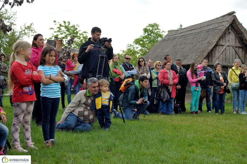 Pünkösdölés a Múzeumfaluban