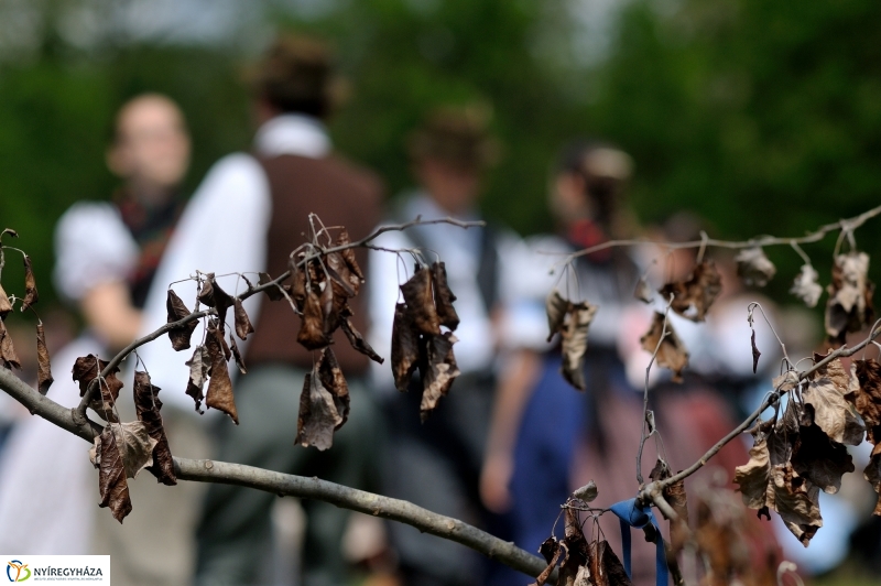 Pünkösdölés a Múzeumfaluban