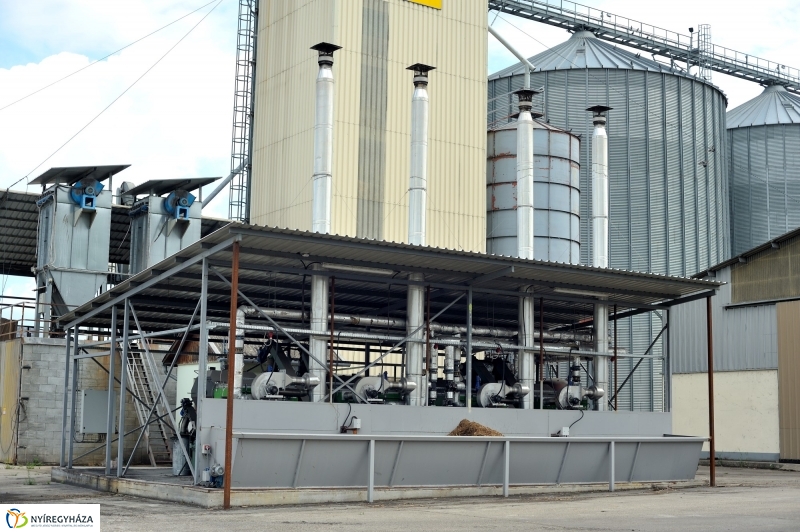 Terményszárítási technológia innovatív fejlesztése