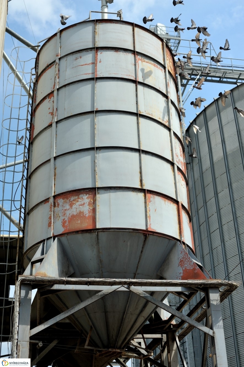 Terményszárítási technológia innovatív fejlesztése