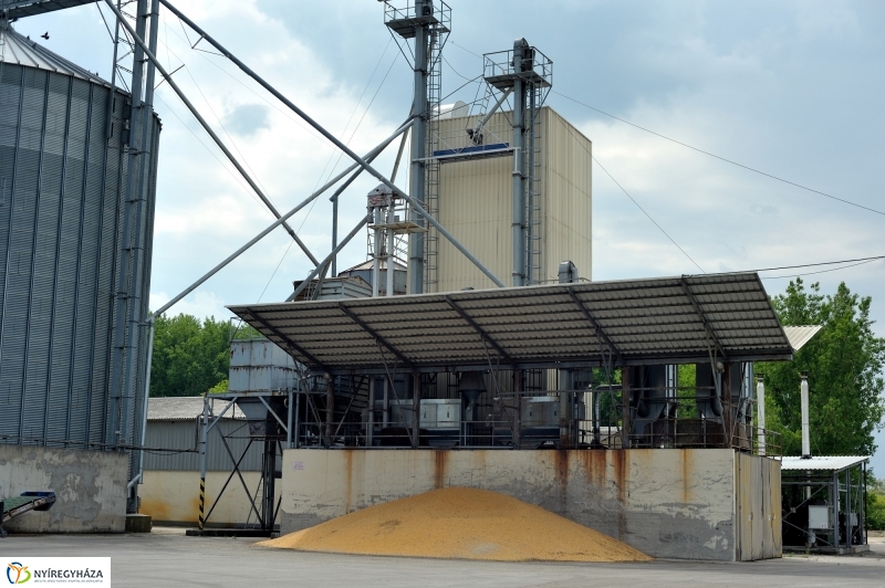 Terményszárítási technológia innovatív fejlesztése