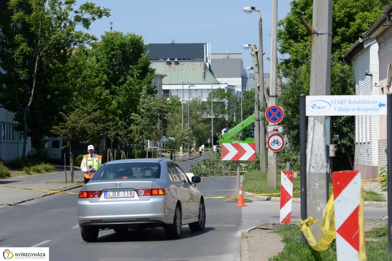 Tereprendezés a Szegfű utcán