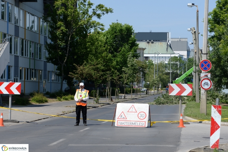 Tereprendezés a Szegfű utcán