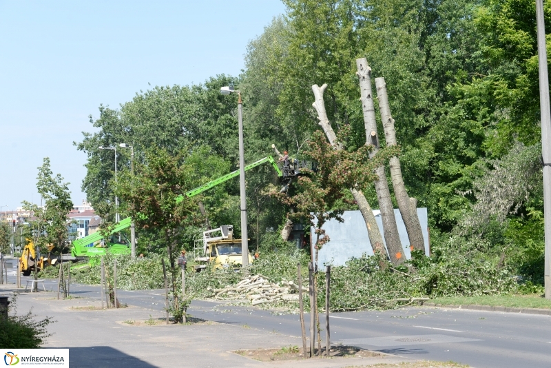 Tereprendezés a Szegfű utcán