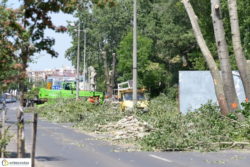 Tereprendezés a Szegfű utcán
