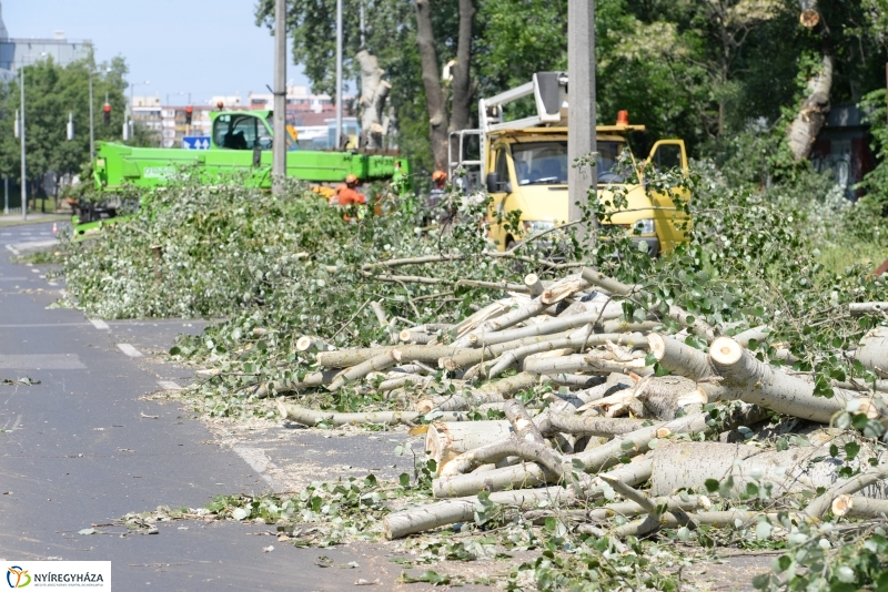 Tereprendezés a Szegfű utcán