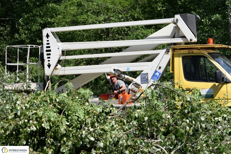 Tereprendezés a Szegfű utcán