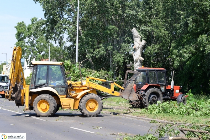 Tereprendezés a Szegfű utcán