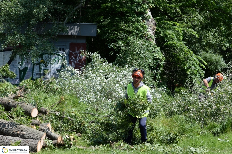 Tereprendezés a Szegfű utcán