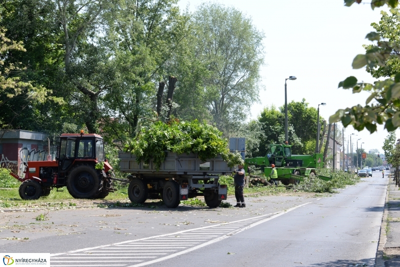 Tereprendezés a Szegfű utcán