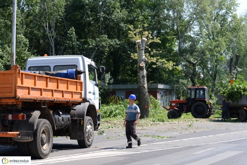 Tereprendezés a Szegfű utcán