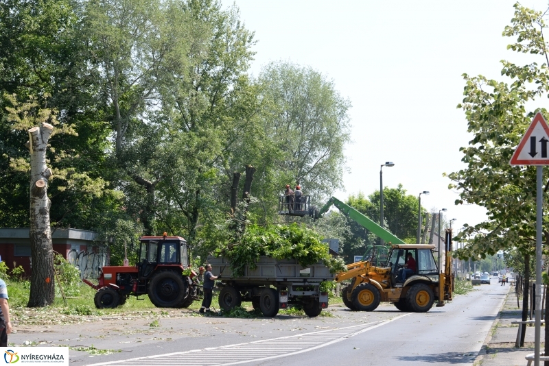 Tereprendezés a Szegfű utcán