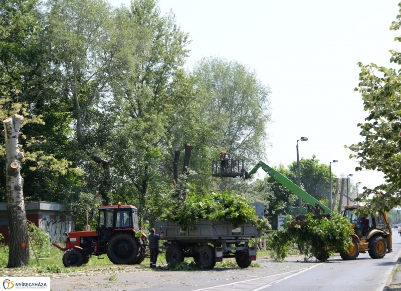 Tereprendezés a Szegfű utcán