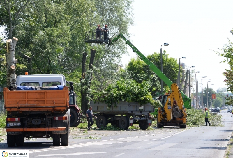 Tereprendezés a Szegfű utcán