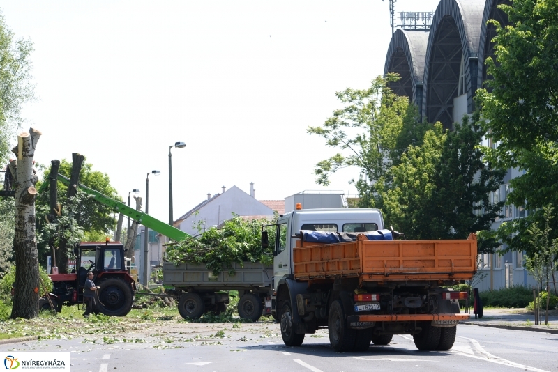 Tereprendezés a Szegfű utcán