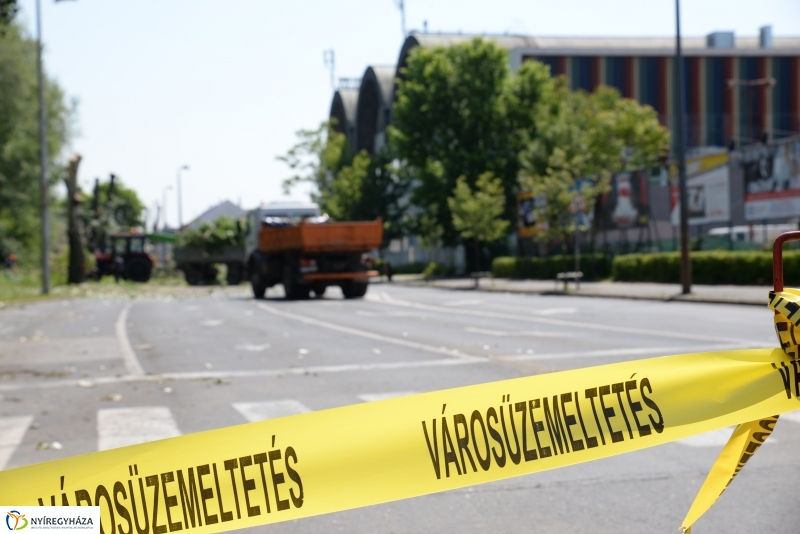 Tereprendezés a Szegfű utcán