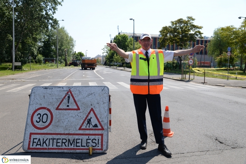 Tereprendezés a Szegfű utcán