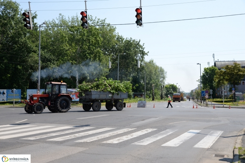 Tereprendezés a Szegfű utcán