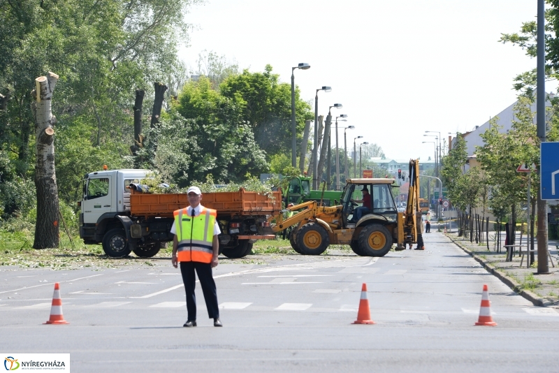 Tereprendezés a Szegfű utcán