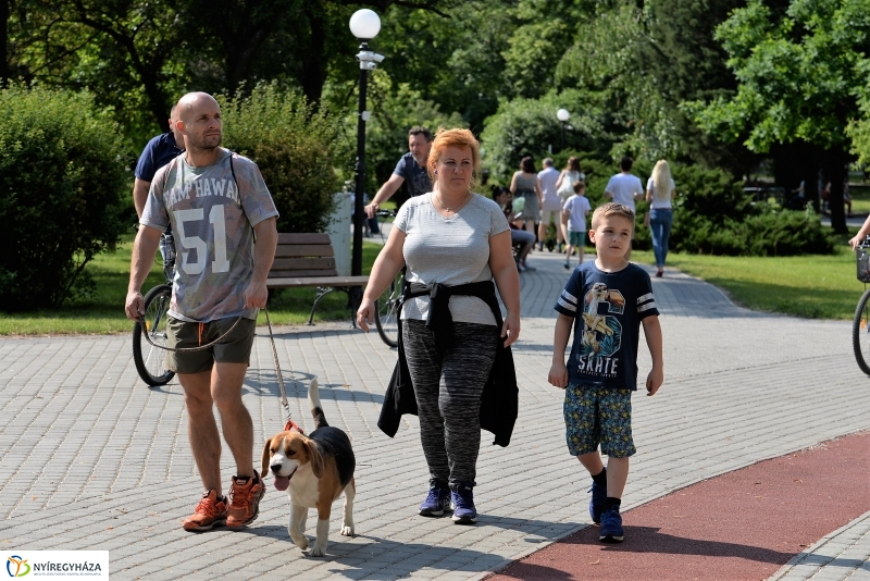 Végre itt a nyár a Sóstón is!